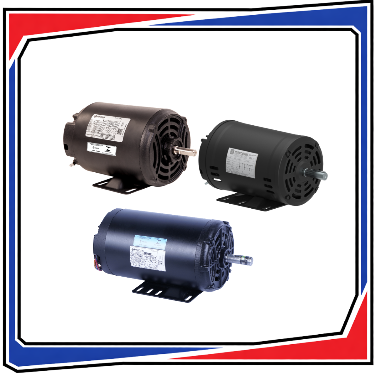 MOTOR TRIFASICO - ABERTO